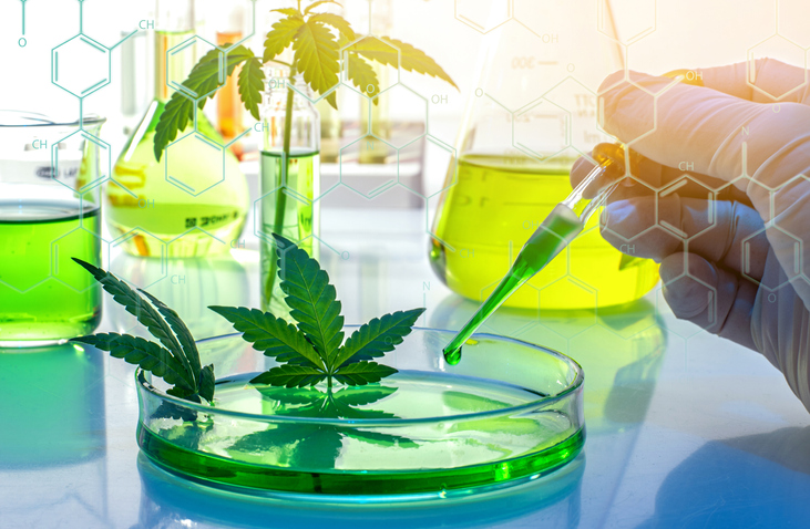 Exploring the Safety of Nano CBD: Current Research and Findings